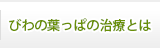 びわの葉っぱの治療とは